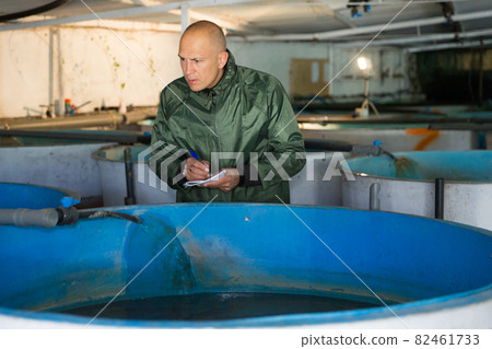 Man at trout breeding incubator Man at trout breeding incubator 82461733