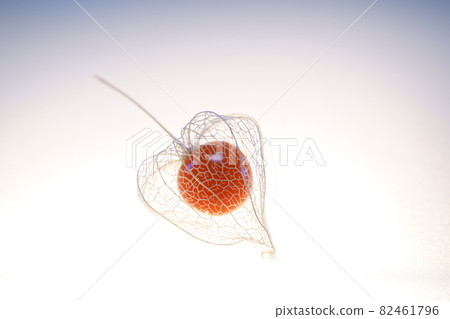 Watermark Hozuki Watermark Hozuki 82461796