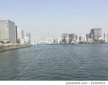 Landscape of the Sumida River in spring Landscape of the Sumida River in spring 82464922