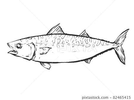 鯖魚手繪毛筆繪畫風格插畫 鯖魚手繪毛筆繪畫風格插畫 82465415