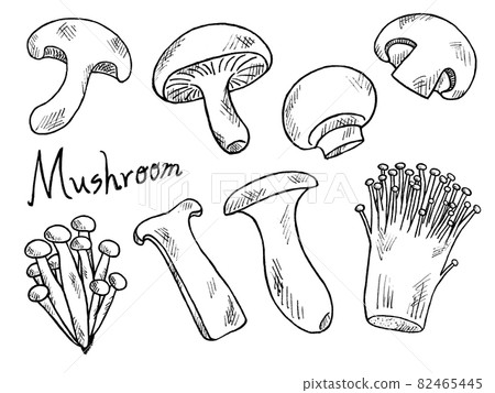 蘑菇和蘑菇的黑白手寫插圖圖像 蘑菇和蘑菇的黑白手寫插圖圖像 82465445