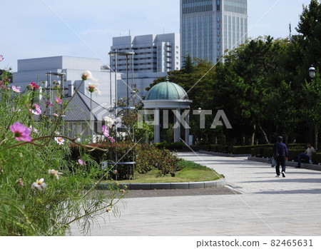Verny park 82465631