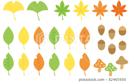 秋天的自然集，簡單可愛的楓樹、銀杏、樹葉、橡子和蘑菇 82465930