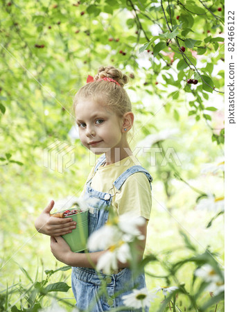 Little girl is picking cherries in the garden. 82466122
