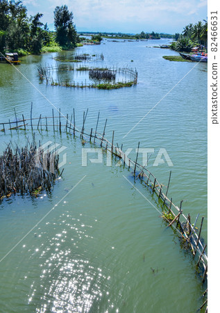 Aquaculture on the river in Hoi An, Quang Nam, Vietnam 82466631