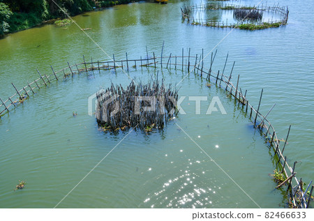 Aquaculture on the river in Hoi An, Quang Nam, Vietnam Aquaculture on the river in Hoi An, Quang Nam, Vietnam 82466633