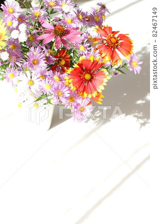 窗台上的花,切花,在陽光下 窗台上的花,切花,在陽光下 82467149