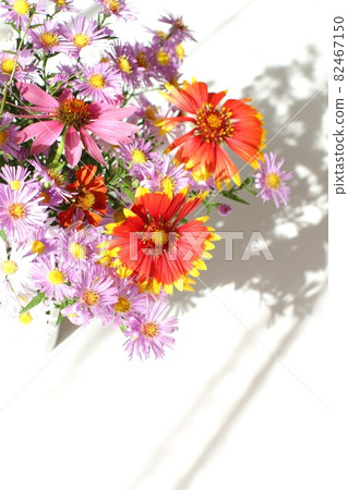 Flowers on the windowsill, cut flowers, in the sun Flowers on the windowsill, cut flowers, in the sun 82467150