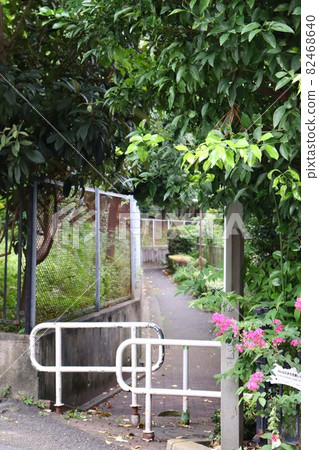 Promenade leading to the back 82468640