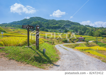 田田稻田 [秋季] 82472412