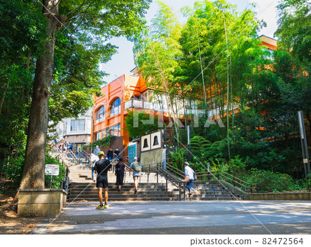 Kichijoji Inokashira Park Kichijoji Inokashira Park 82472564