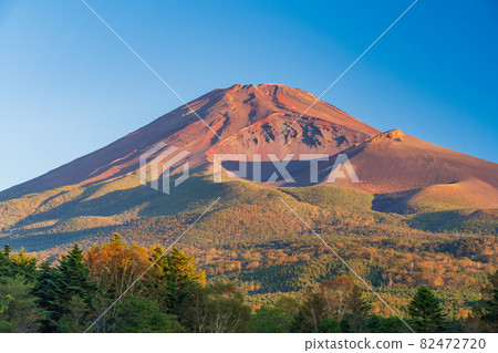 (Shizuoka Prefecture) Autumn Mt. Fuji seen from Mizugatsuka Park at dawn 82472720