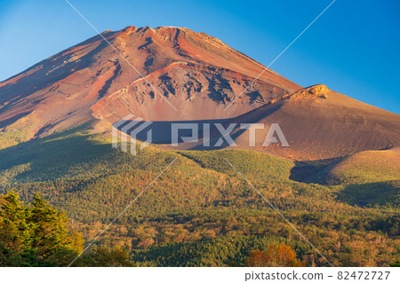 (靜岡縣)黎明時分從水月公園看到的秋天富士山 (靜岡縣)黎明時分從水月公園看到的秋天富士山 82472727