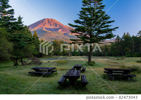 （靜岡縣）清晨從水月公園看到的秋天富士山 82473043
