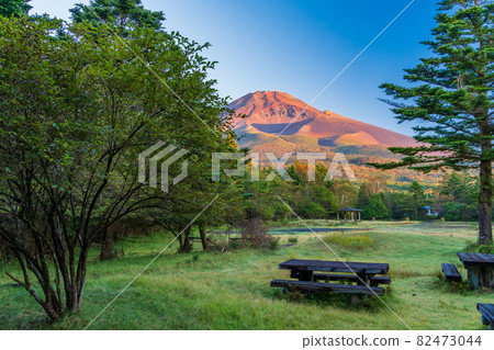 (靜岡縣)清晨從水月公園看到的秋天富士山 (靜岡縣)清晨從水月公園看到的秋天富士山 82473044