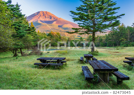 (靜岡縣)清晨從水月公園看到的秋天富士山 (靜岡縣)清晨從水月公園看到的秋天富士山 82473045