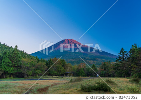 （靜岡縣）清晨從水月公園看到的秋天富士山 82473052