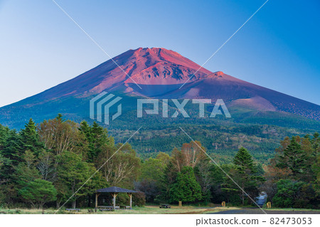 (靜岡縣)清晨從水月公園看到的秋天富士山 (靜岡縣)清晨從水月公園看到的秋天富士山 82473053