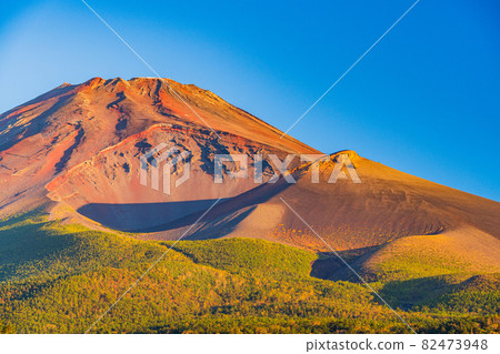 (Shizuoka Prefecture) Mt. Fuji, where the autumn leaves have begun (Shizuoka Prefecture) Mt. Fuji, where the autumn leaves have begun 82473948