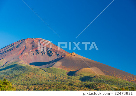 (Shizuoka Prefecture) Mt. Fuji, where the autumn leaves have begun 82473951
