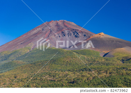 (Shizuoka Prefecture) Mt. Fuji, where the autumn leaves have begun 82473962