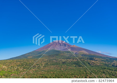 (靜岡縣)紅葉初現的富士山 (靜岡縣)紅葉初現的富士山 82473964