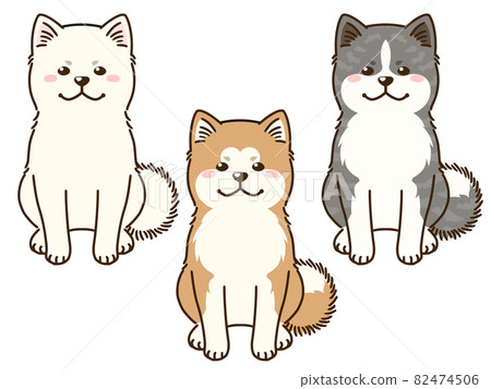 Akita Inu three colors Akita Inu three colors 82474506