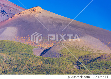 (Shizuoka Prefecture) Near Mt. Fuji and Mt. Hoei, where the autumn leaves are beautiful (Shizuoka Prefecture) Near Mt. Fuji and Mt. Hoei, where the autumn leaves are beautiful 82474511