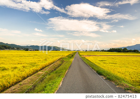 傍晚的大町市農村 82475413