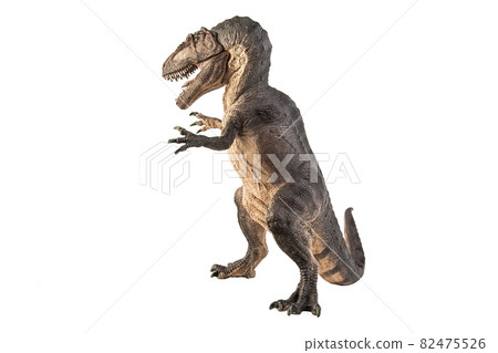 Giganotosaurus Dinosaur on white background 82475526