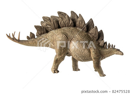 Stegosaurus Dinosaur on white background Stegosaurus Dinosaur on white background 82475528