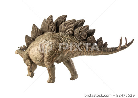 Stegosaurus Dinosaur on white background 82475529