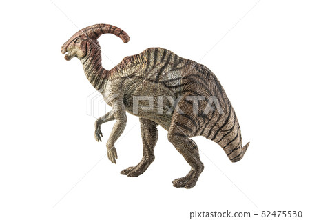 Parasaurolophus Dinosaur on white background 82475530