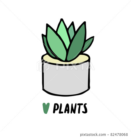 are zz plants toxic to cats Super Nova ZZ Plant – Lichtenfelt's main image 0