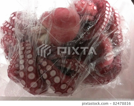 Octopus whole Octopus whole 82478816