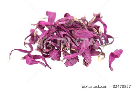 Dried Echinacea flowers, isolated on white background. Petals of Echinacea purpurea. Medicinal herbs. 82478837