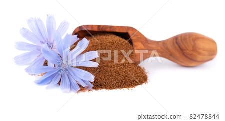 Chicory powder and flower in wooden scoop, isolated on white background. Cichorium intybus. 82478844