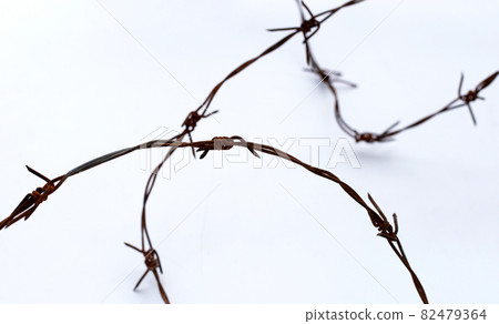 Rusty barb wire isolated on white background 82479364