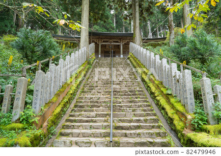 天波林寺（金剛山） 82479946