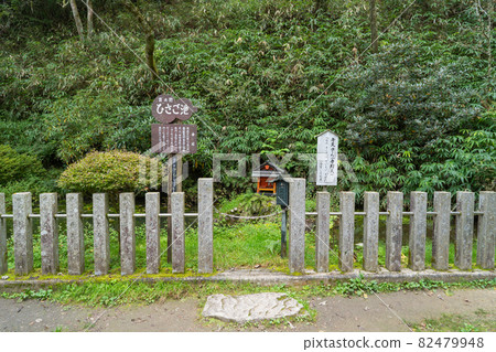 天波林寺的久子池（金剛山） 82479948