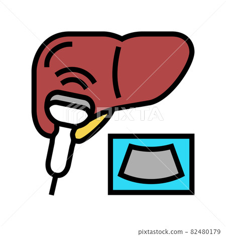 ultrasound liver color icon vector illustration 82480179