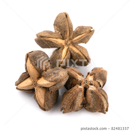 Nuts Incas , sacha inchi peanut seed an isolated on white background Nuts Incas , sacha inchi peanut seed an isolated on white background 82481337