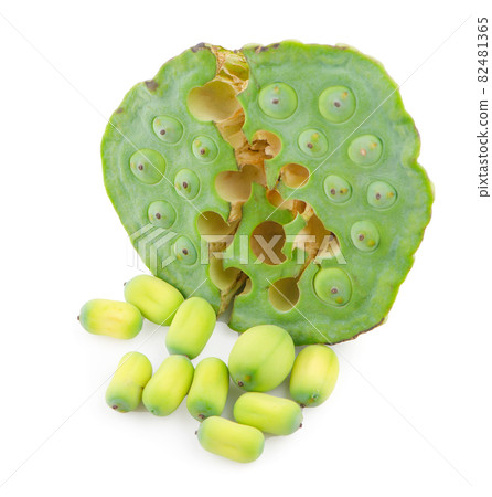 lotus seeds close up on white background lotus seeds close up on white background 82481365