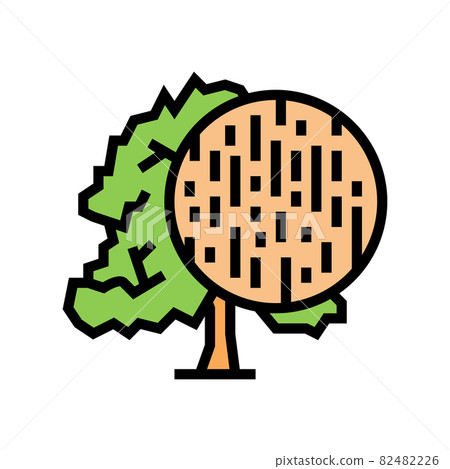 beech wood color icon vector illustration beech wood color icon vector illustration 82482226