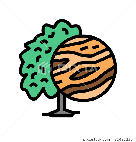 mango wood color icon vector illustration mango wood color icon vector illustration 82482236