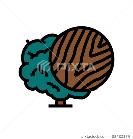 walnut wood color icon vector illustration walnut wood color icon vector illustration 82482379