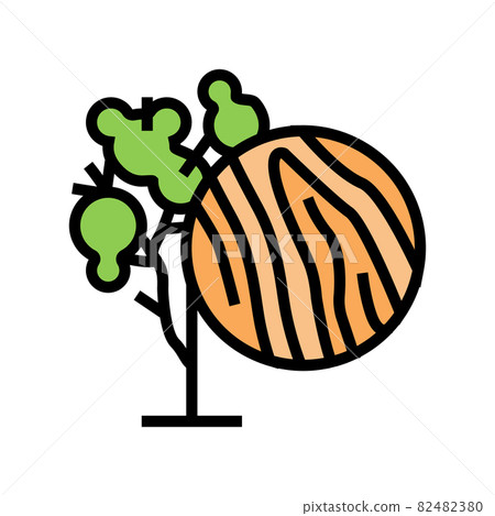 eucalyptus wood color icon vector illustration eucalyptus wood color icon vector illustration 82482380