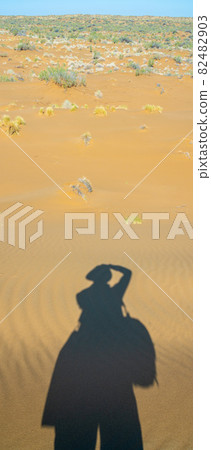 The shadow of the photographer on the sand in the desert 82482903