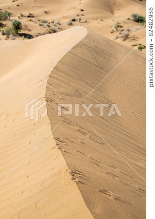sand dunes in the desert as background 82482936