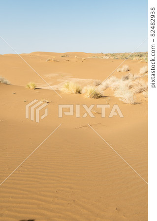 sand dunes in the desert as background sand dunes in the desert as background 82482938